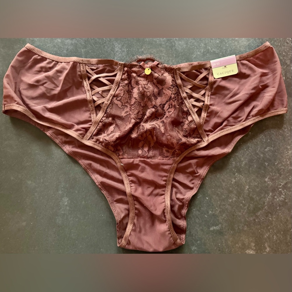 Cacique Lane Bryant Plus Size 2X Brown Purple Lace Panties